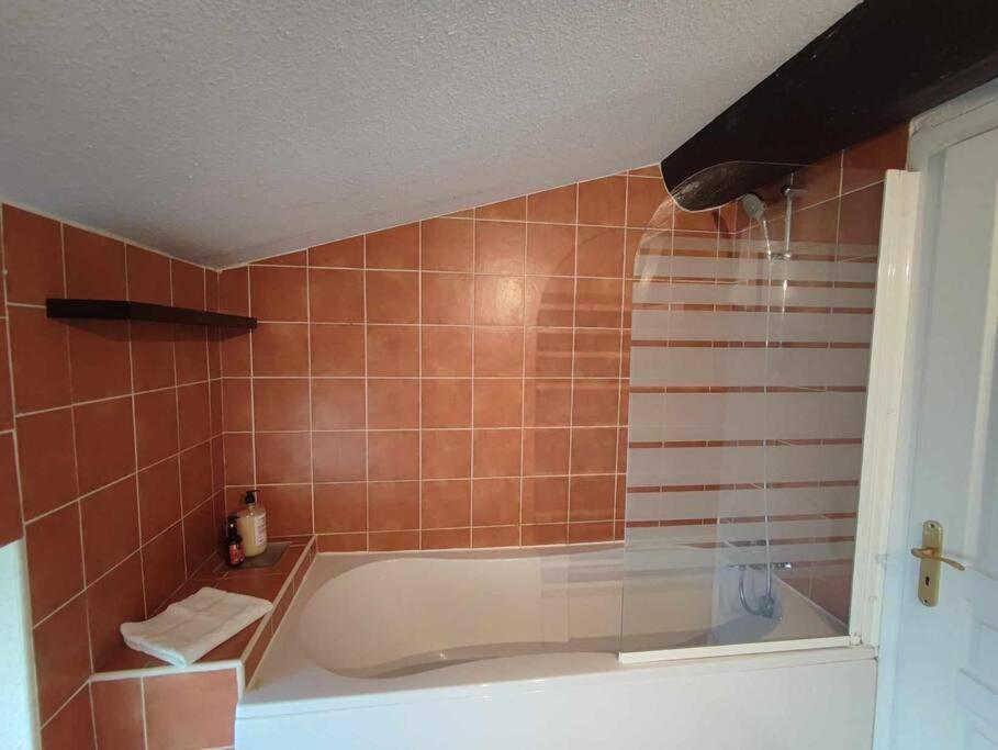 Ferienwohnung Charme De Victor Conciergeriedamecarcas Carcassonne Exterior foto
