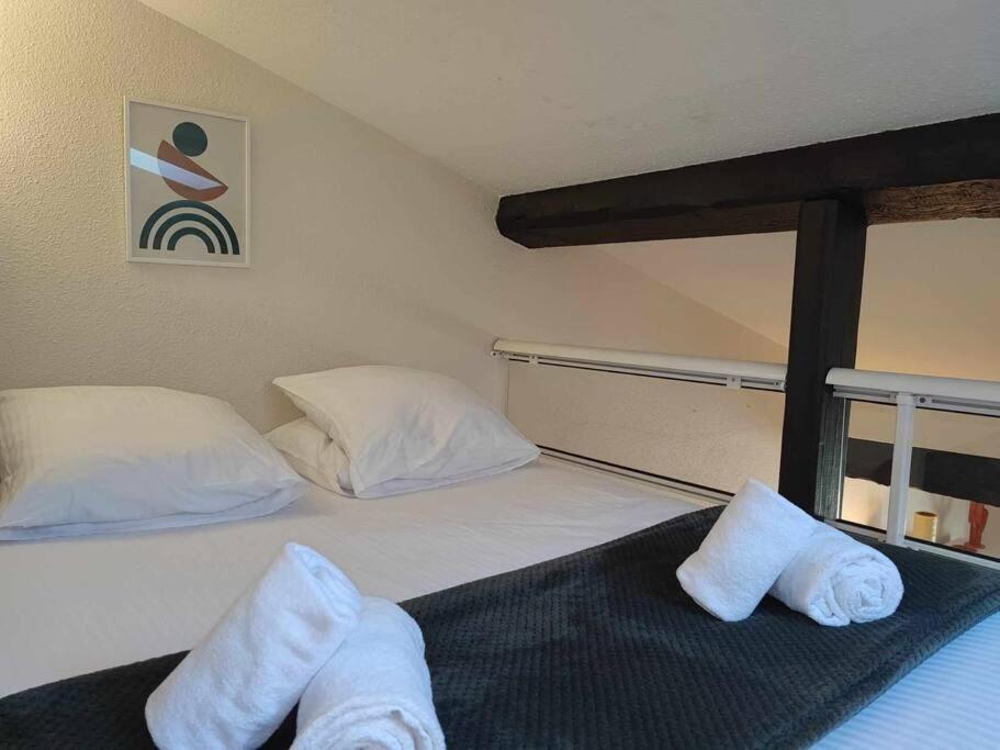 Ferienwohnung Charme De Victor Conciergeriedamecarcas Carcassonne Exterior foto